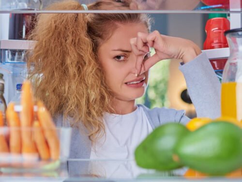 Como quitar el mal olor de la nevera